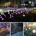 2-Pack: Outdoor Solar Dandelion Lawn Lights