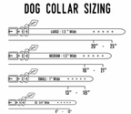 Leather Dog Collar - Designer